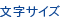 文字サイズ