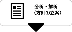 分析・解析(方針の立案)