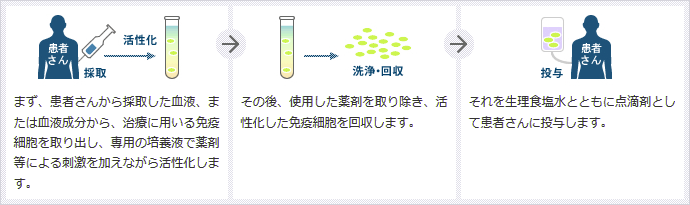 免疫細胞治療のプロセス